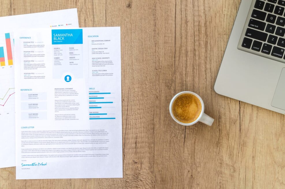 What Is a Professional CV?
