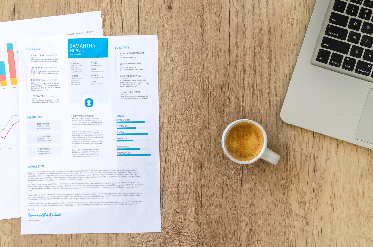 What Is a Professional CV?